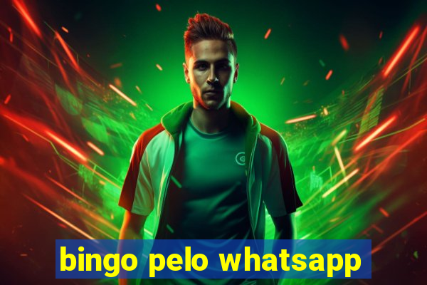 bingo pelo whatsapp