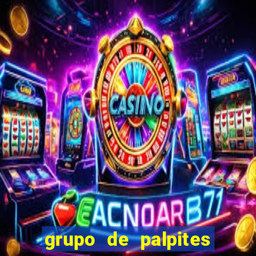 grupo de palpites de futebol whatsapp